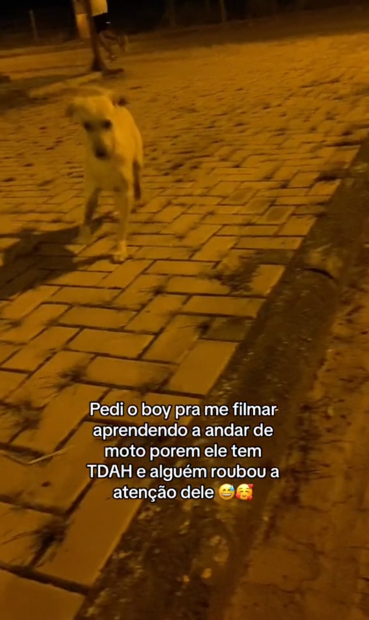 Atenção desviada: Homem interrompe gravação para fazer carinho em cão de rua